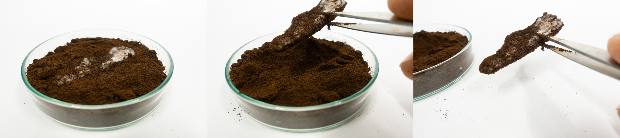 MyzelFusion detail 3